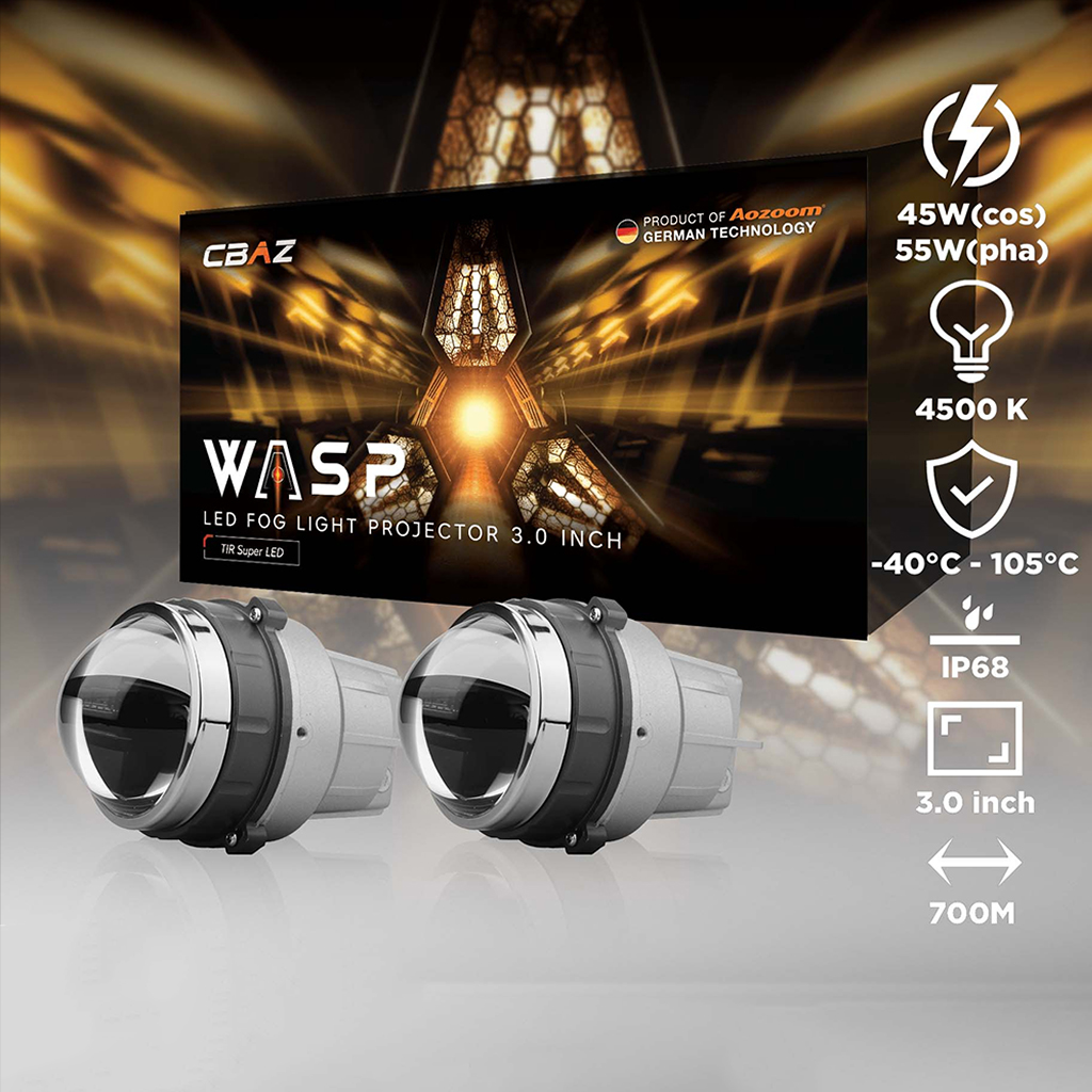 wasp