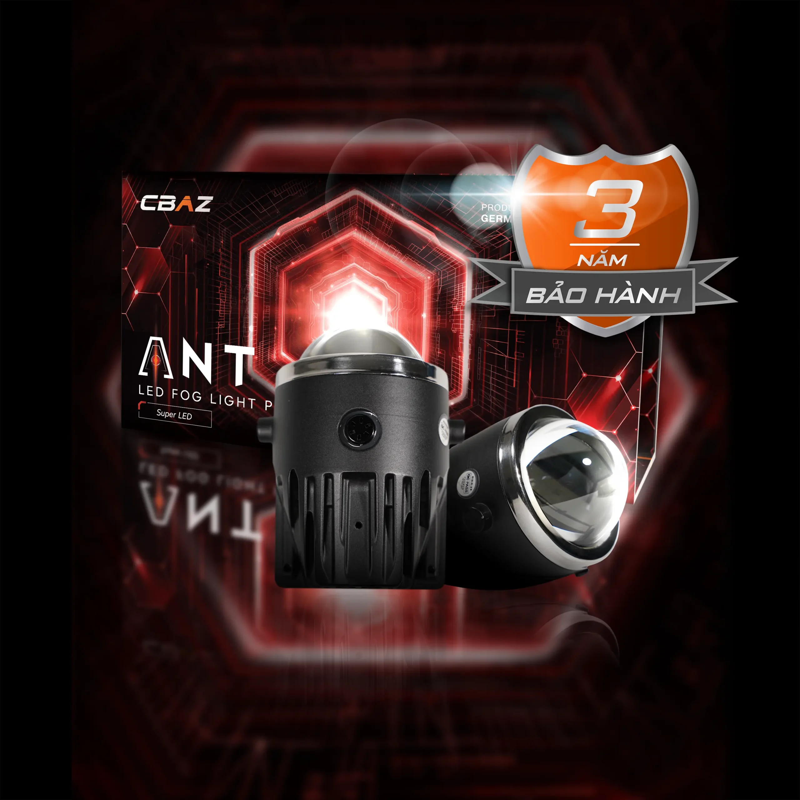 ant