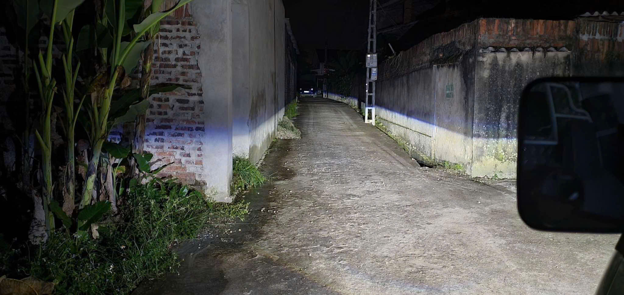 Bóng đèn LED xe hơi