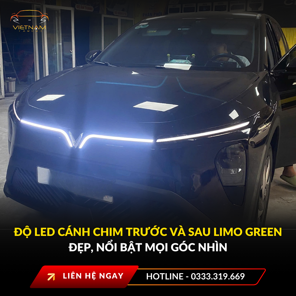 Độ led cánh chim trước và sau Limo Green đẹp, nổi bật mọi góc nhìn