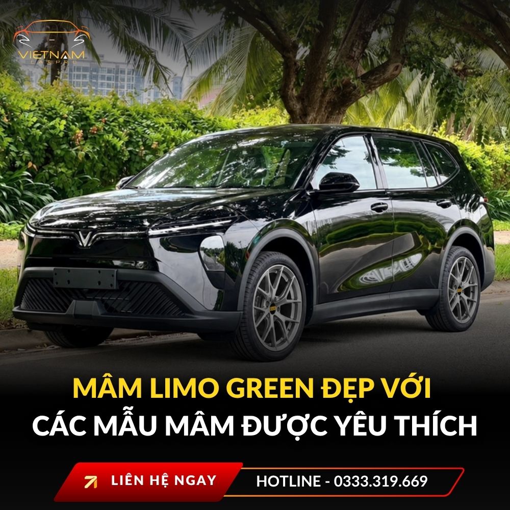 Mâm limo green đẹp với các mẫu mâm được yêu thích